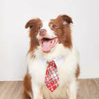 British Style Christmas Dog Tie