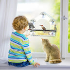 Window Watcher Bird Feeder