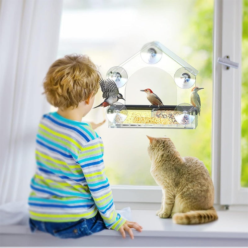 Window Watcher Bird Feeder