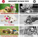 20-Piece Puppy Teething Chew Toy Set with Basket for Small & Medium Dogs