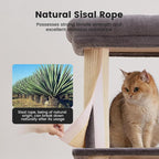 Gardner Pet 65In Heavy Duty Cat Tree Tower for Large Cats, Multi-Level Cat Furniture with Replaceable Sisal Scratching Post, Hammock | Extra-Large Platform & Condo