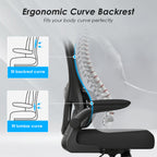 Mesh Ergonomic Office Chair with Lumbar Support