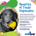 Honey Bear eDispenser - Durable Rubber Treat Dispenser for Dogs | USA Made