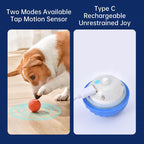 Petgravity Interactive Dog Toy, Motion Activated Automatic Bouncing Ball, Sm/Med Dog, USB Rechargeable