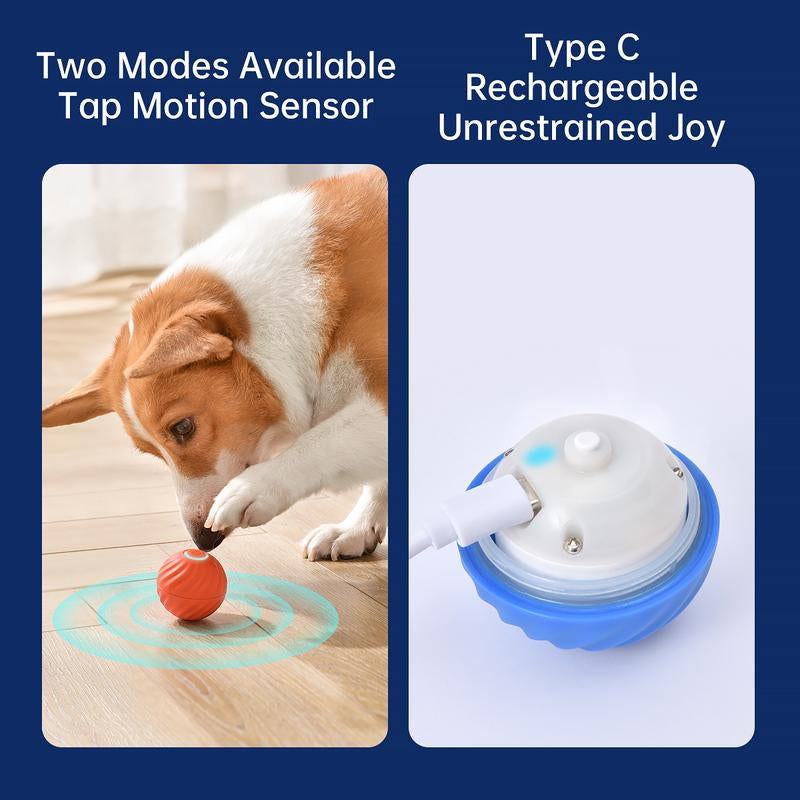 Petgravity Interactive Dog Toy, Motion Activated Automatic Bouncing Ball, Sm/Med Dog, USB Rechargeable
