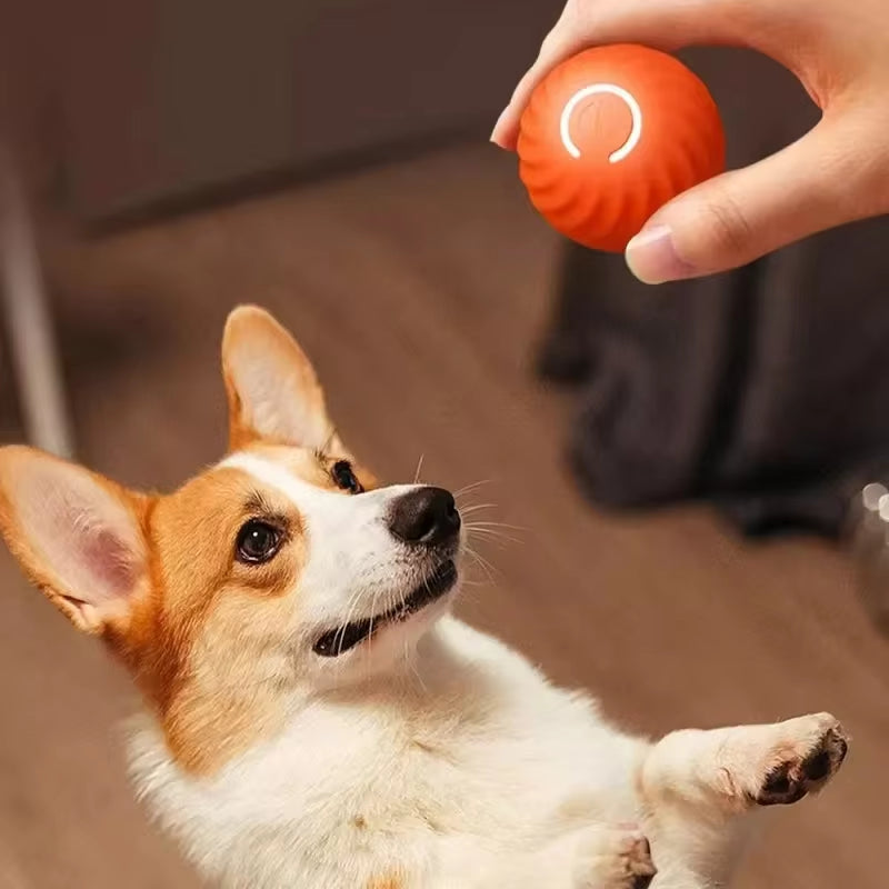 Smart Dog Interactive Toy Ball Automatic Moving Bouncing Rolling Ball USB