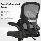 Mesh Ergonomic Office Chair with Lumbar Support