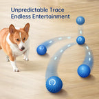 Petgravity Interactive Dog Toy, Motion Activated Automatic Bouncing Ball, Sm/Med Dog, USB Rechargeable