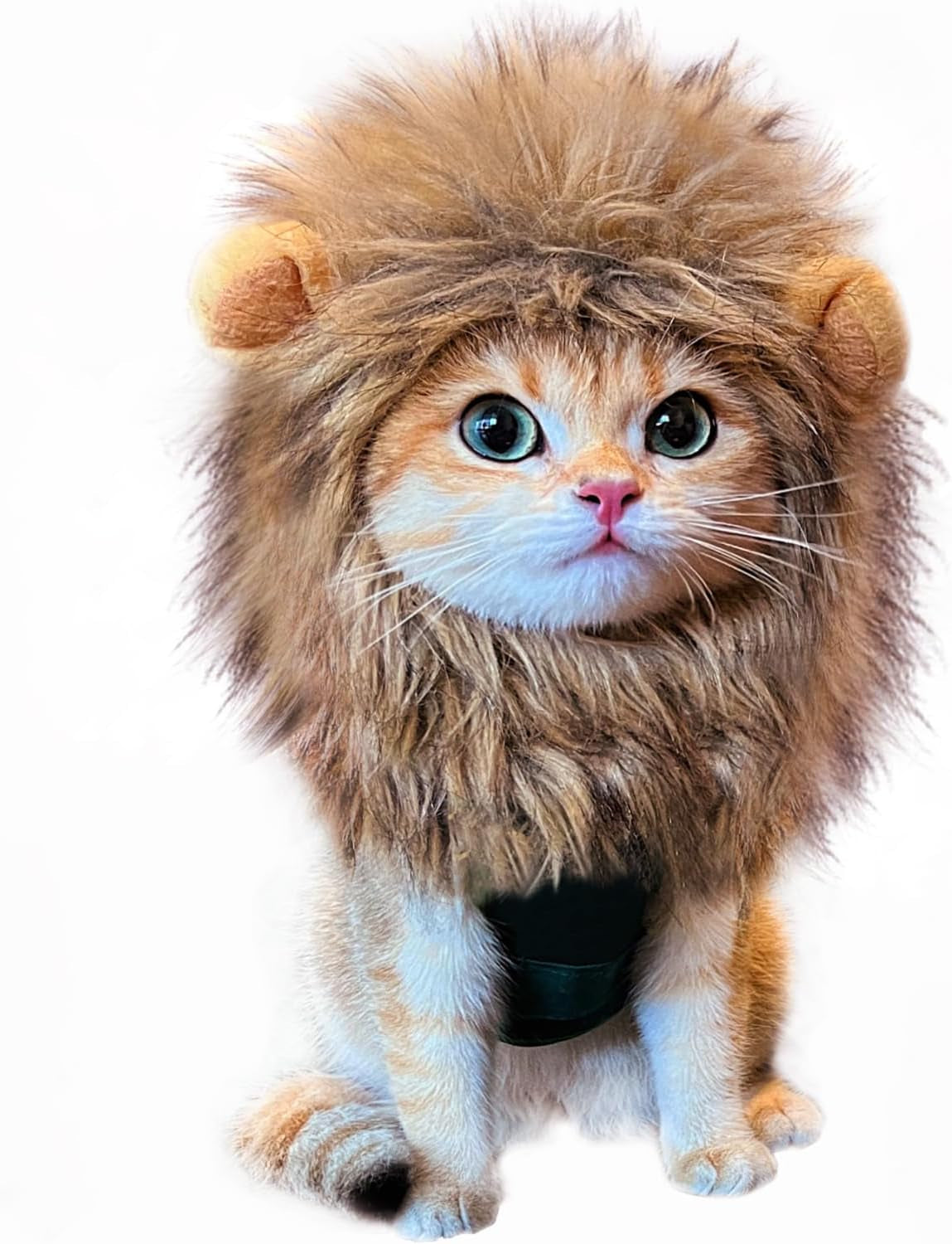 Lion Mane Wig Costume for Cat, Washable Comfortable