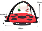 Black Ladybug Cat Play Mat