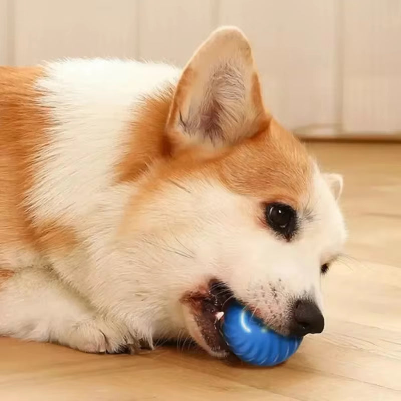 Smart Dog Interactive Toy Ball Automatic Moving Bouncing Rolling Ball USB