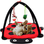 Black Ladybug Cat Play Mat