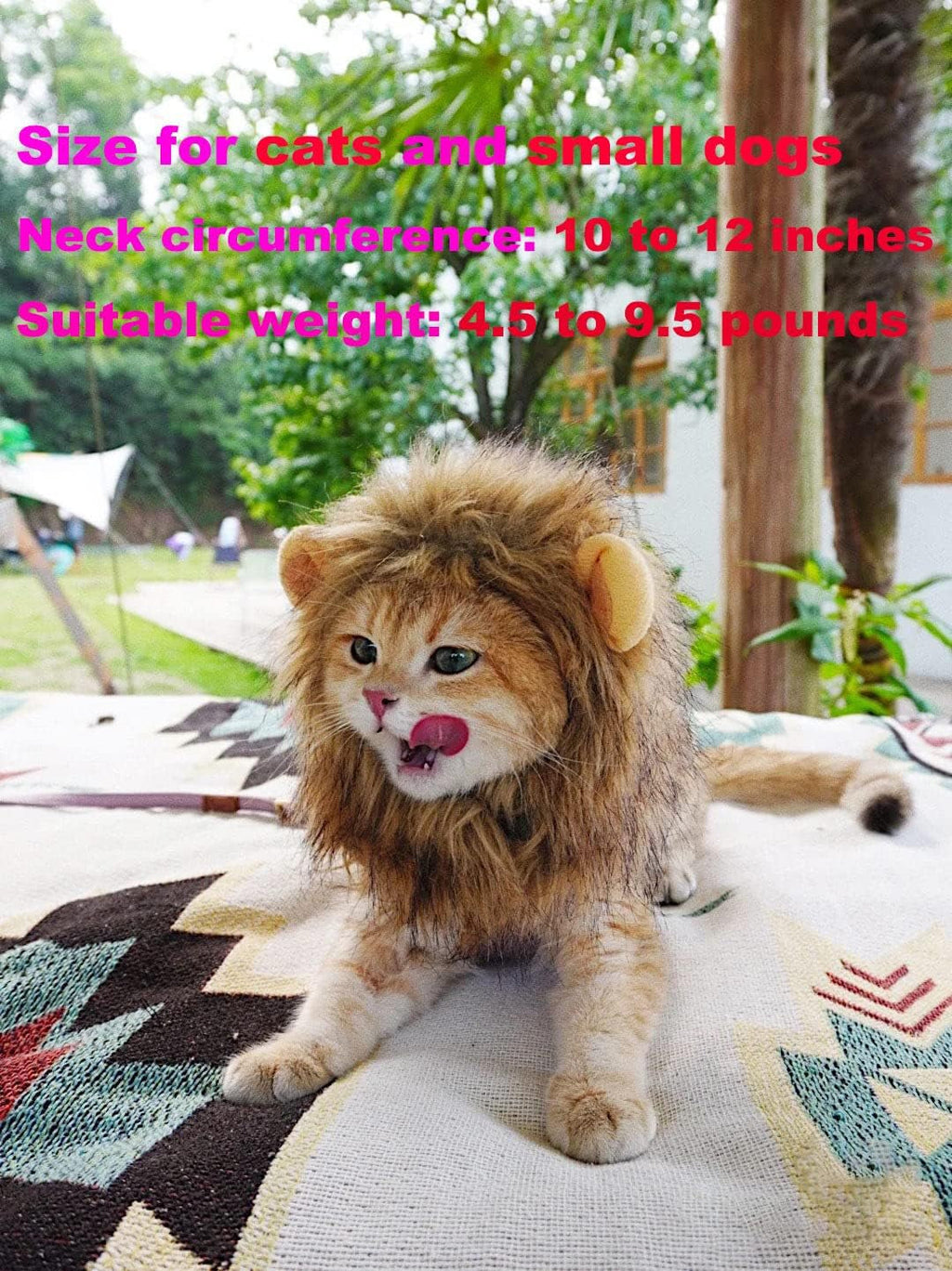 Lion Mane Wig Costume for Cat, Washable Comfortable