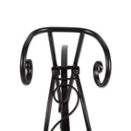 Bicycle Plant Stand