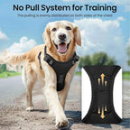 Illuminate Your Dog's Adventures: Rechargeable LED Harness for All Sizes - Breathable, Adjustable, Waterproof & Easy to Use! Perfect for Walking & Training!