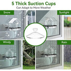 Window Watcher Bird Feeder