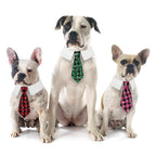 British Style Christmas Dog Tie