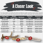 Elk Antler Dog Chews | All-Natural Whole and Split Elk Antler Chews for Dogs