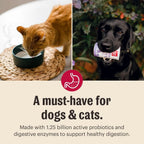 Honest Kitchen Goat Milk Powder Probiotics for Dogs & Cats 5.2oz