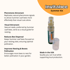 Cabana Bee House & Complete Kit with Bee Certificate