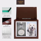 Pet Memorial Urn Keepsake Box for Dogs & Cats w/ Paw Print Kit & Album