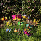 10pcs Large Butterfly Garden Yard Planter
