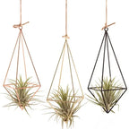 Modern Iron & Macrame Flower Hanger