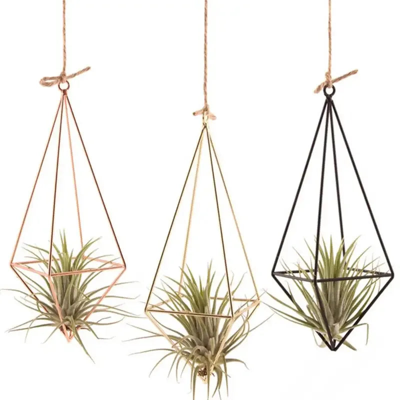 Modern Iron & Macrame Flower Hanger