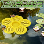 Floating Bee, Butterfly Watering Station