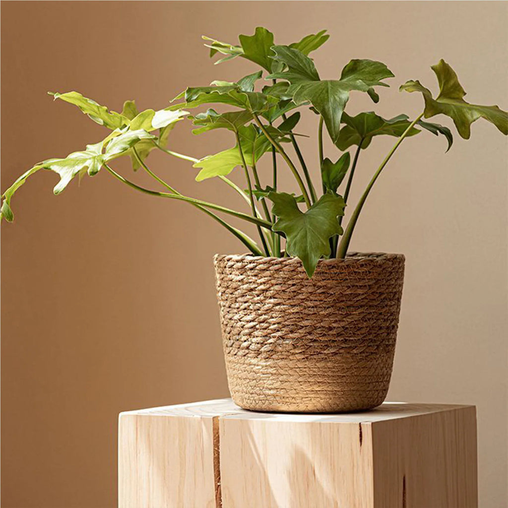 Nordic Style Natural Rattan Planter Basket
