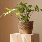 Nordic Style Natural Rattan Planter Basket