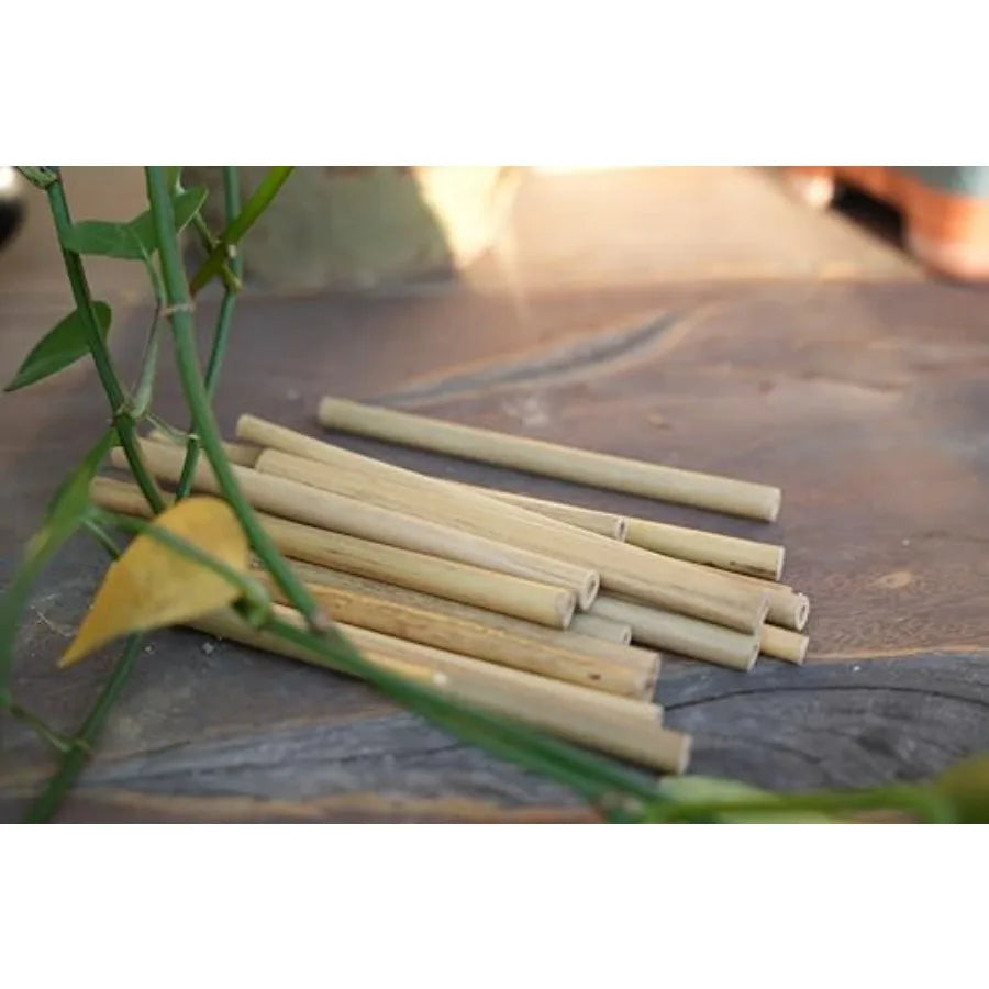 100-Pack 6-Inch Natural Bamboo Tubes