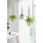 Macrame Plant Hanger Set of 3