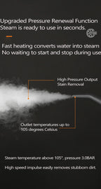 Disinfection Steam Cleaner For Kitchen, Bath, Garage