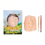 Dinosaur Fossil Excavation Kit | DIY Dig and Discover Toy