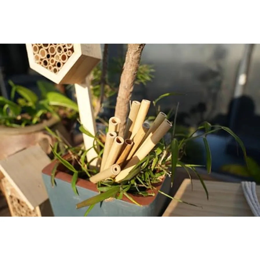 100-Pack 6-Inch Natural Bamboo Tubes