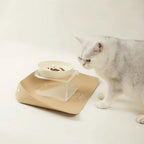 Pet Supplies PU Leather Pet Anti Spill Placemat Waterproof Oil Resistant Cat Bowl Mat Anti Slip Dog Food Pad Kitten
