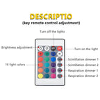 Viral Wave Projector Light 16 Colors Midnight Aura
