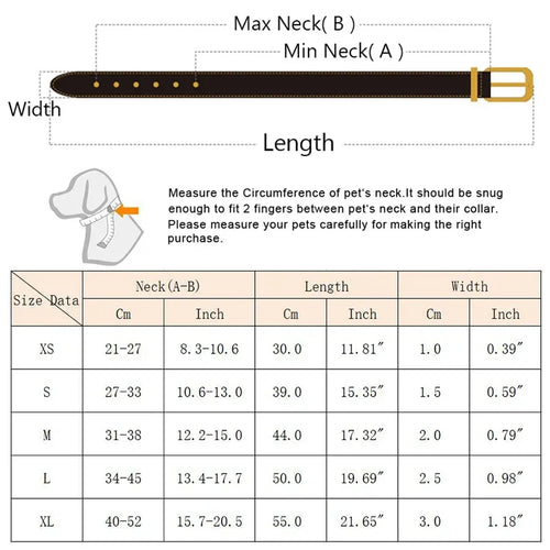 Adjustable PU Dog/Cat Collar with Detachable Scarf | For Small Medium Dogs and Cats