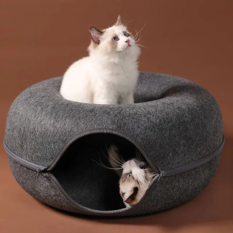 Interactive Tunnel/Donut Cat Bed & House