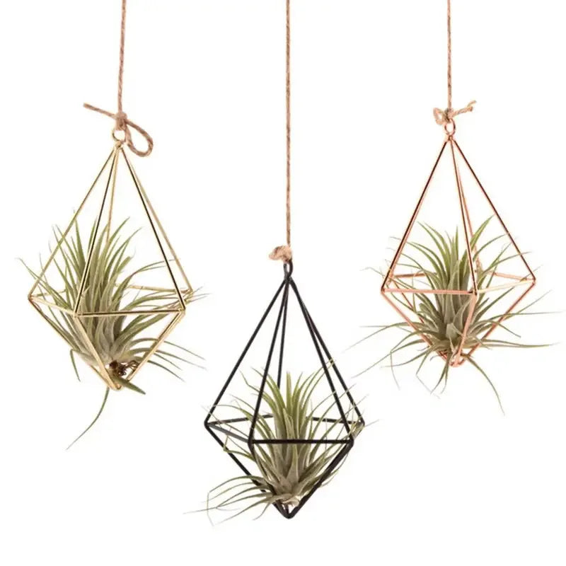 Modern Iron & Macrame Flower Hanger