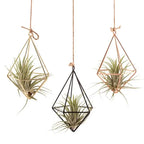 Modern Iron & Macrame Flower Hanger