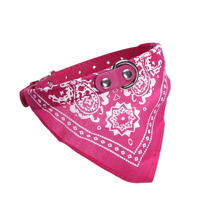 Adjustable PU Dog/Cat Collar with Detachable Scarf | For Small Medium Dogs and Cats