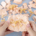 Dinosaur Fossil Excavation Kit | DIY Dig and Discover Toy