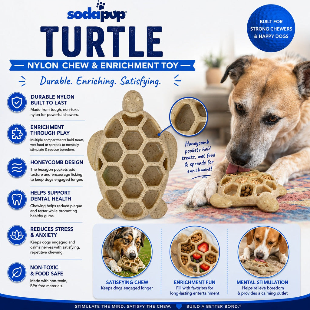 Turtle Chew Toy - Ultra-Durable Nylon Enrichment, for Power Chewers