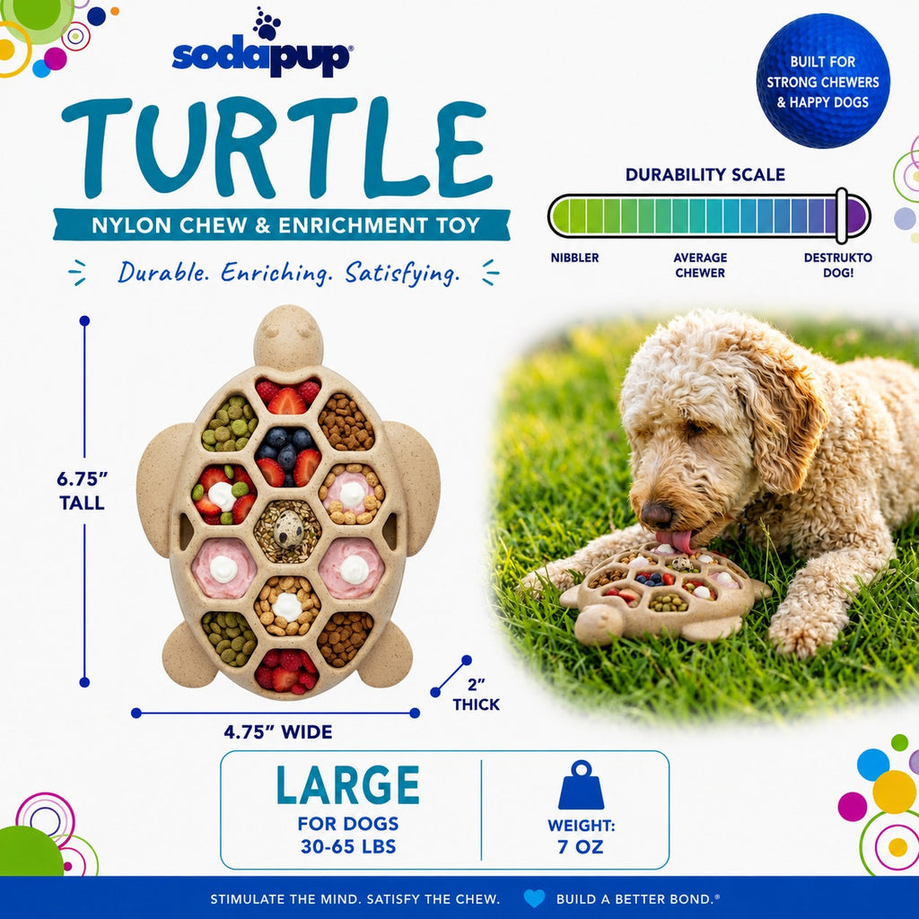 Turtle Chew Toy - Ultra-Durable Nylon Enrichment, for Power Chewers