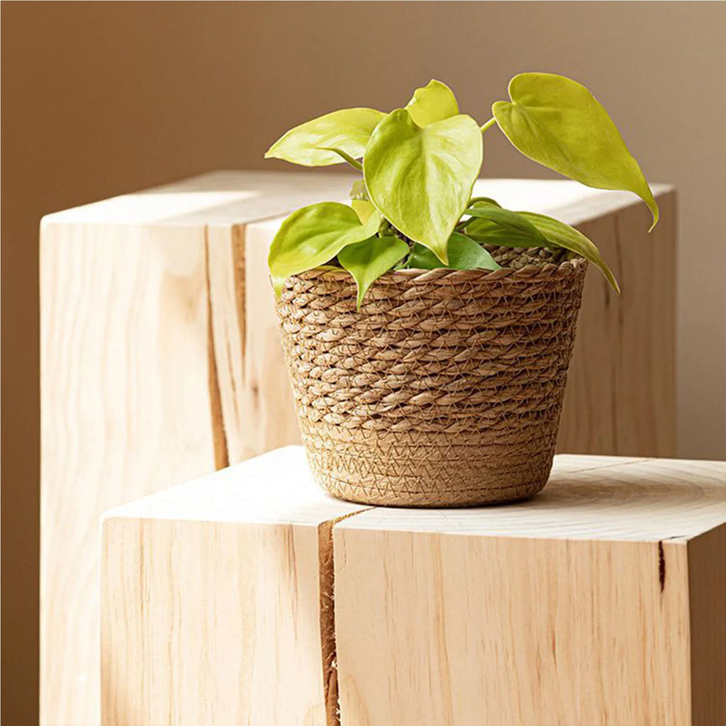 Nordic Style Natural Rattan Planter Basket