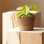 Nordic Style Natural Rattan Planter Basket