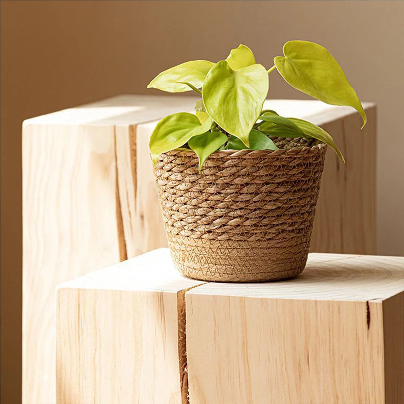 Nordic Style Natural Rattan Planter Basket
