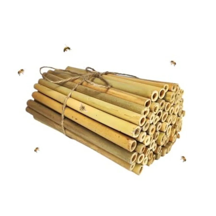 100-Pack 6-Inch Natural Bamboo Tubes